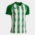 Tricou INTER V, verde/alb