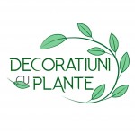 Decoratiuni cu Plante